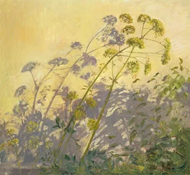 Liebstöckel, Waldrebe und Schatten, 1999